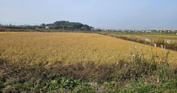 경기도 평택시 안중읍 대반리 157 답 경매 물건 이미지