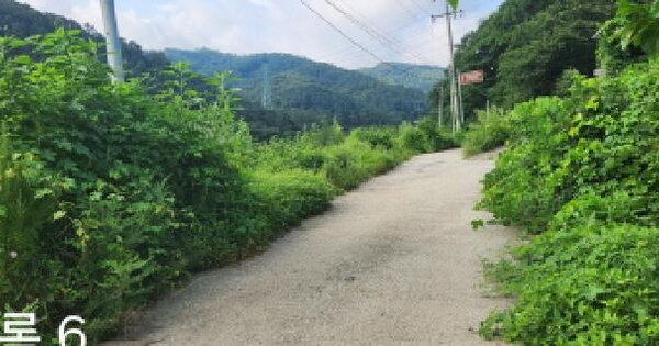 경기도 광주시 직동 289-9 전 경매 물건 이미지