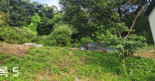 경기도 광주시 직동 289-7 전 경매 물건 이미지