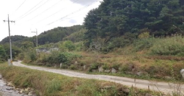 강원특별자치도 춘천시 동산면 조양리 60-1 답 경매 물건 이미지