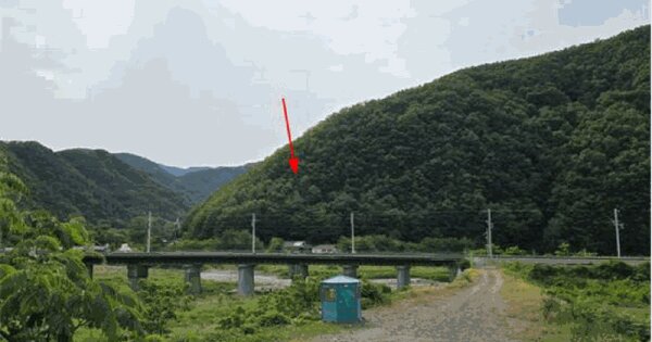 강원특별자치도 삼척시 미로면 천기리 산105 임야 경매 물건 이미지