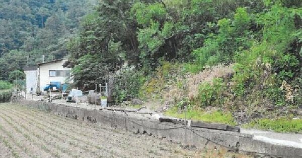강원특별자치도 삼척시 미로면 천기리 154-3 전 경매 물건 이미지