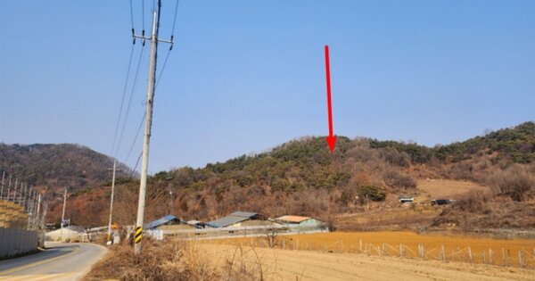 충청북도 제천시 수산면 구곡리 110-6 임야 경매 물건 이미지