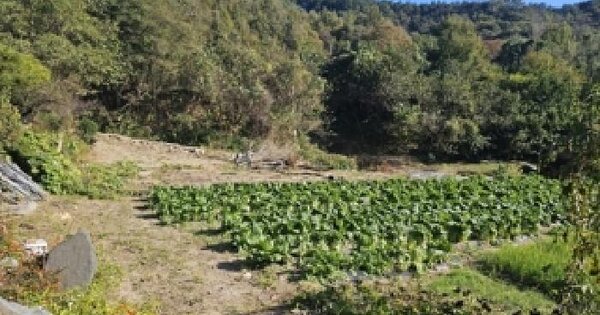 경상남도 산청군 산청읍 부리 210 전 경매 물건 이미지