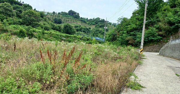 경상남도 진주시 상봉동 347-3 답 경매 물건 이미지