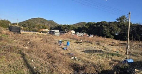 전라남도 완도군 소안면 미라리 477 답 경매 물건 이미지