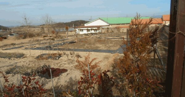 전라남도 해남군 황산면 우항리 498 전 경매 물건 이미지