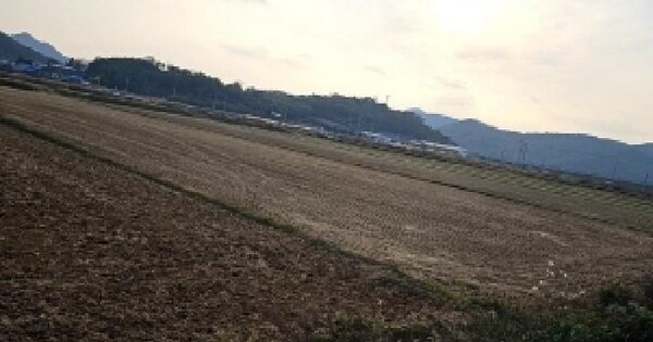 전라남도 해남군 현산면 고현리 1223-8 답 경매 물건 이미지