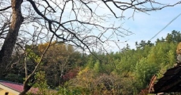 전라남도 해남군 현산면 고현리 499-3 전 경매 물건 이미지