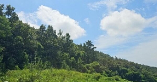 전라남도 해남군 화원면 구림리 산67-1 임야 경매 물건 이미지