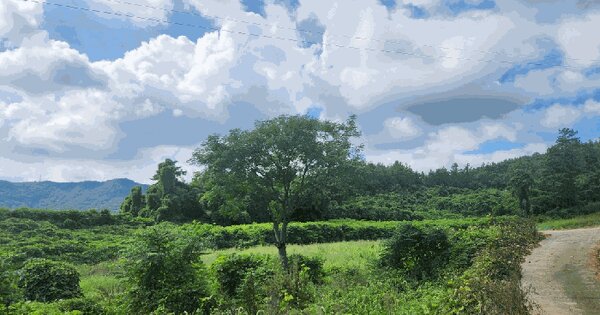 전라남도 해남군 화원면 영호리 97 전 경매 물건 이미지