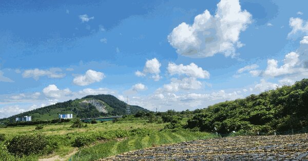 전라남도 해남군 화원면 영호리 87 전 경매 물건 이미지
