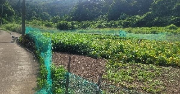 경상남도 통영시 산양읍 풍화리 152 전 경매 물건 이미지