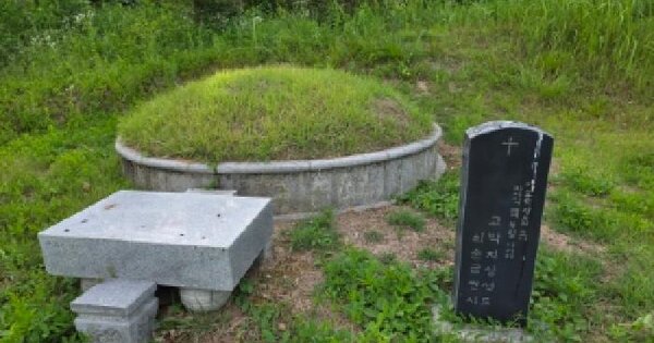 경기도 여주시 하거동 646  미지정 경매 물건 이미지