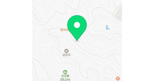 경상북도 포항시 북구 양덕동 산194  미지정 경매 물건 이미지