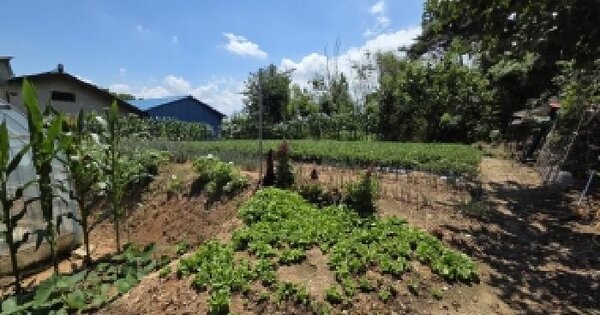 전북특별자치도 부안군 주산면 갈촌리 315  미지정 경매 물건 이미지