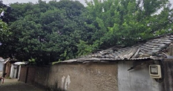 전라남도 구례군 구례읍 봉북리 105-1  미지정 경매 물건 이미지