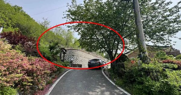 인천광역시 강화군 하점면 장정리 226-16 임야 경매 물건 이미지