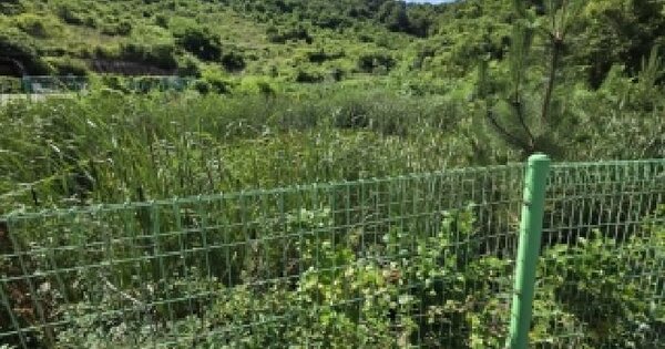 전북특별자치도 부안군 변산면 도청리 670-20  미지정 경매 물건 이미지
