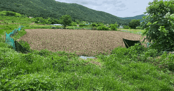 경상남도 창원시 마산합포구 진북면 부평리 124 답 경매 물건 이미지