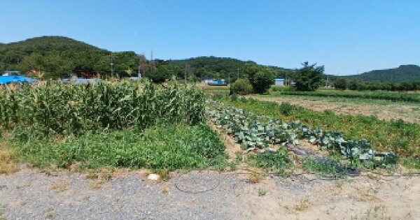충청남도 당진시 대호지면 두산리 415 전 경매 물건 이미지