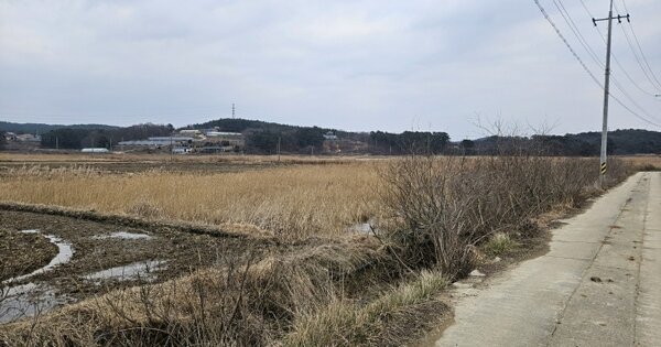 충청남도 서산시 지곡면 환성리 694-94 답 경매 물건 이미지
