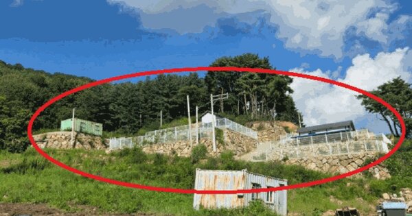 경상북도 청도군 각남면 사리 산80-18 임야 경매 물건 이미지