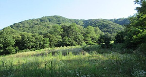 경상북도 상주시 내서면 평지리 369 전 경매 물건 이미지
