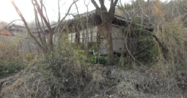 대구광역시 달성군 구지면 대암리 226 대지 경매 물건 이미지