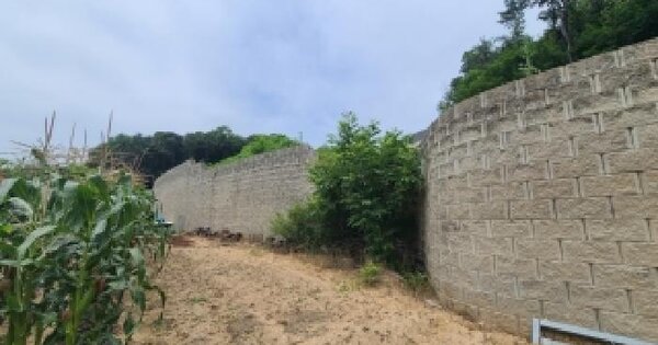 경기도 이천시 장호원읍 진암리 산101  미지정 경매 물건 이미지