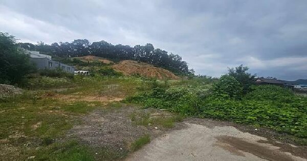 경기도 안성시 죽산면 장계리 산1  미지정 경매 물건 이미지