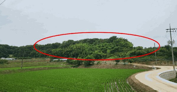 충청남도 당진시 송산면 부곡리 366-1  미지정 경매 물건 이미지