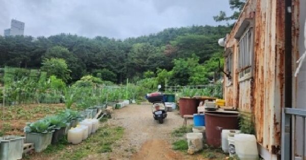 부산광역시 남구 대연동 산124-1  미지정 경매 물건 이미지