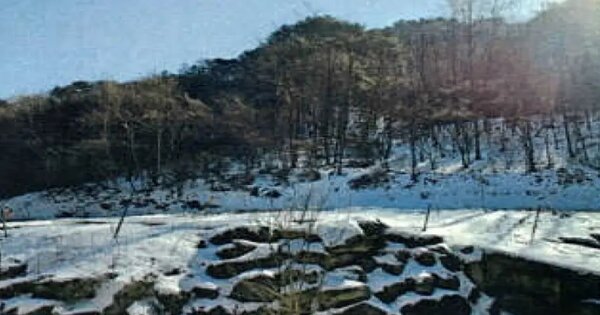 강원특별자치도 평창군 평창읍 향동리 232 전 경매 물건 이미지