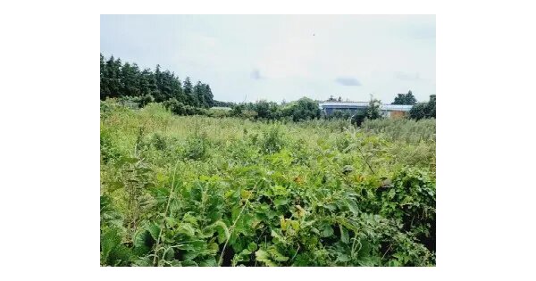 제주특별자치도 서귀포시 안덕면 상창리 679 전 경매 물건 이미지