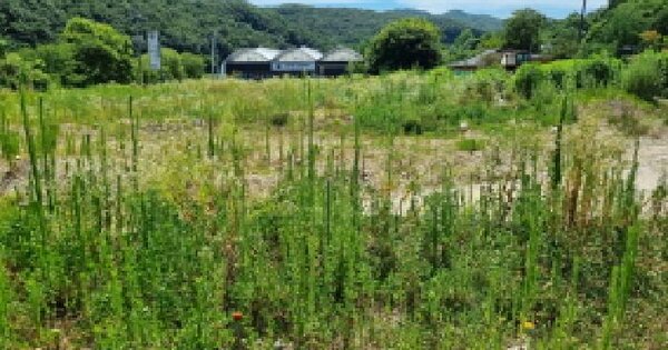 대전광역시 서구 흑석동 465-10 답 경매 물건 이미지