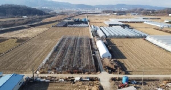충청북도 진천군 이월면 삼용리 738 전 경매 물건 이미지