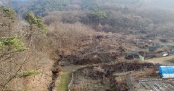 충청북도 보은군 탄부면 성지리 산26-2 임야 경매 물건 이미지