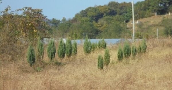충청북도 보은군 보은읍 어암리 140-1 전 경매 물건 이미지