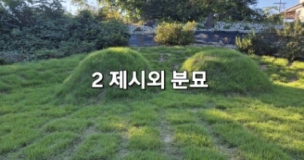 경기도 여주시 대신면 보통리 OOO 전 경매 물건 이미지