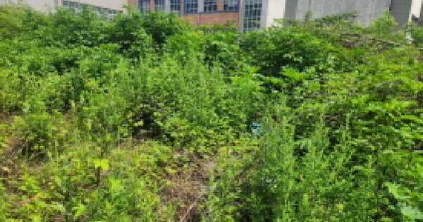 인천광역시 서구 당하동 943-40  미지정 경매 물건 이미지
