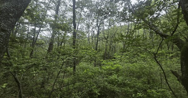 부산광역시 부산진구 초읍동 산122  미지정 경매 물건 이미지