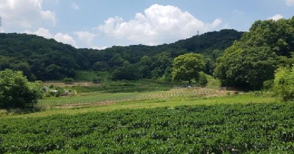 충청남도 천안시 동남구 동면 광덕리 303  미지정 경매 물건 이미지