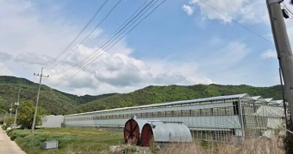 경상북도 청송군 부남면 중기리 978  미지정 경매 물건 이미지