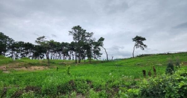 경상북도 영천시 청통면 우천리 704  미지정 경매 물건 이미지