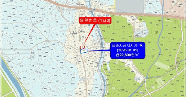 전라남도 완도군 완도읍 대신리 96-1  미지정 경매 물건 이미지
