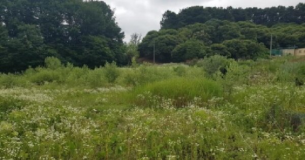 충청남도 천안시 동남구 목천읍 신계리 263-2  미지정 경매 물건 이미지