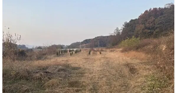 충청북도 보은군 보은읍 어암리 144 전 경매 물건 이미지