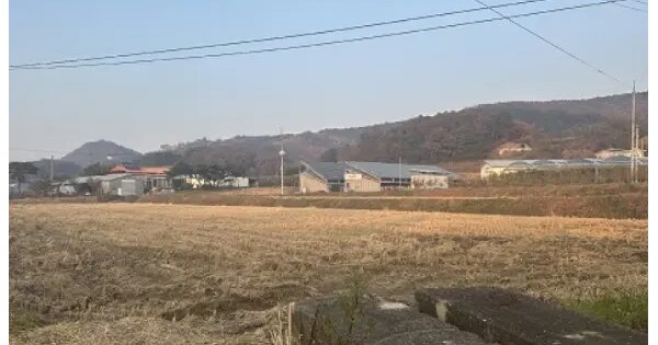 충청북도 보은군 보은읍 어암리 391 답 경매 물건 이미지