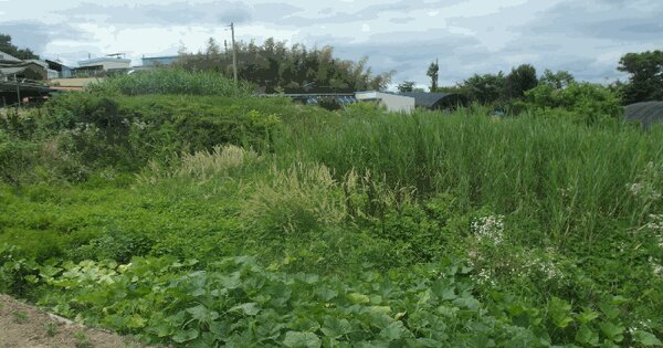 충청남도 논산시 광석면 갈산리 209-1  미지정 경매 물건 이미지